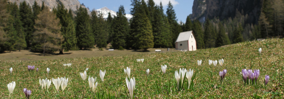 Spring