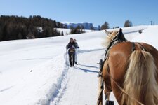 Skigebiet Seiser Alm Pferd Kutsche Schnee
