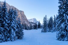 langental winter
