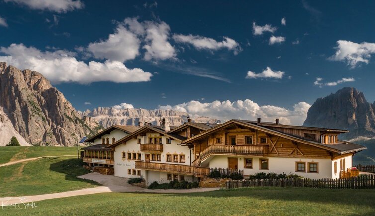 Alpine Hotel Col Raiser