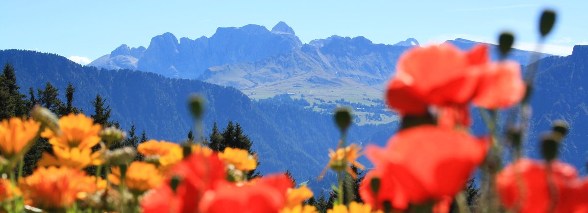 Val Gardena Dolomites Italy Val Gardena Dolomites Italy - 